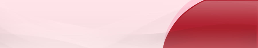 �����̐����I�炪�����������g���d�Ԃ̖��͂ɂ��Č��